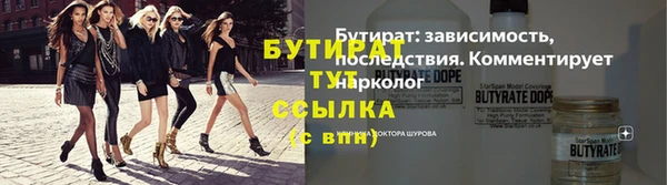 индика Медвежьегорск