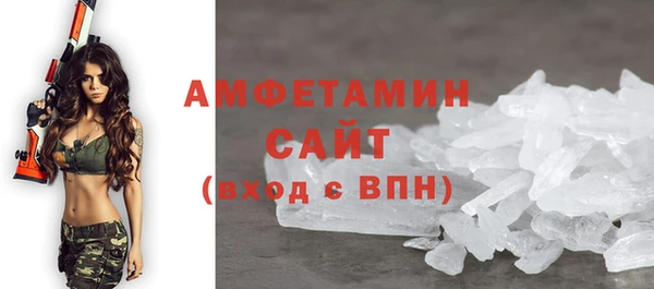 индика Медвежьегорск