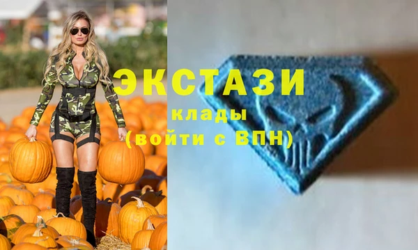индика Медвежьегорск