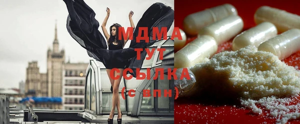 индика Медвежьегорск
