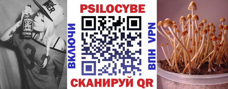 omg ссылка  сколько стоит  Туран  Галлюциногенные грибы MAGIC MUSHROOMS 